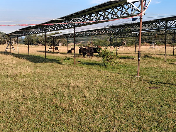 High clearance High clearance