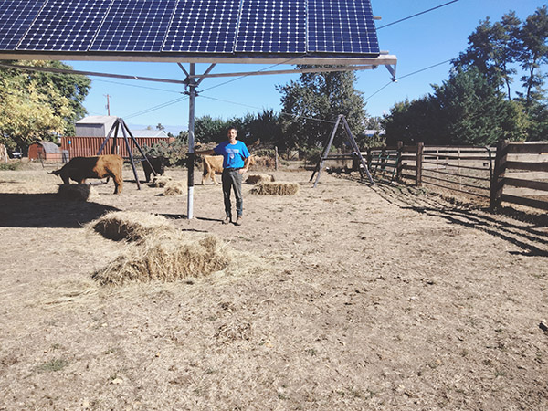 SunTracker high clearance solar SunTracker high clearance solar